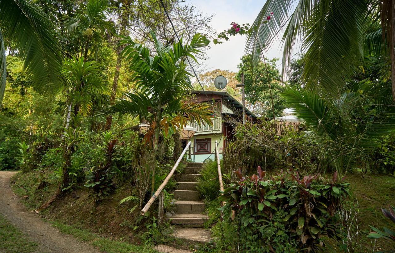 Sukia Hostel Drake Bay Ngoại thất bức ảnh