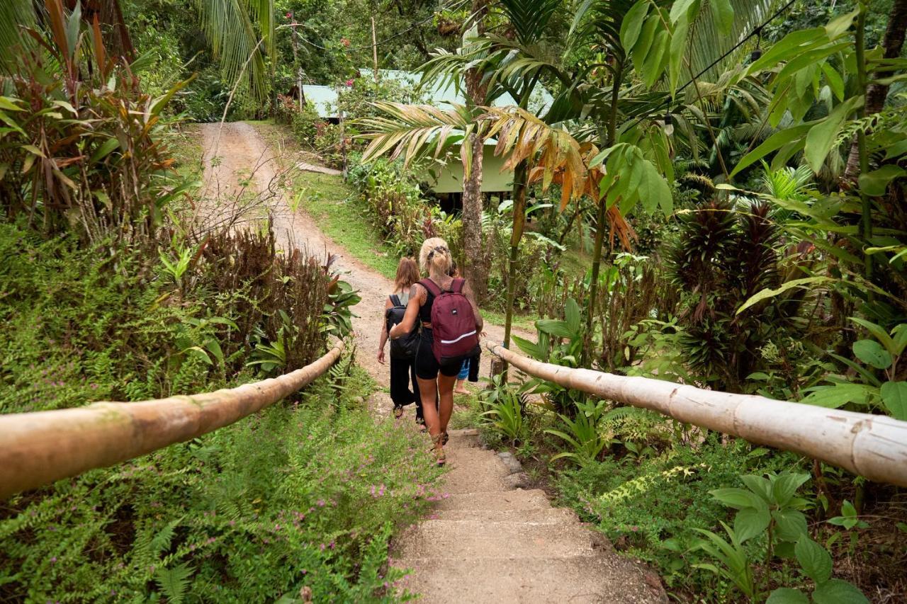 Sukia Hostel Drake Bay Ngoại thất bức ảnh