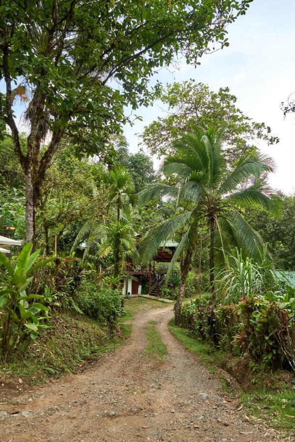 Sukia Hostel Drake Bay Ngoại thất bức ảnh