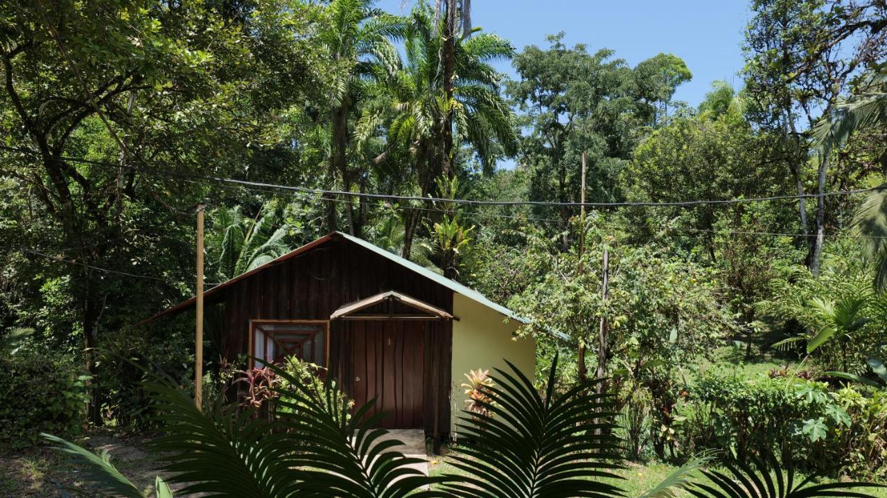 Sukia Hostel Drake Bay Ngoại thất bức ảnh