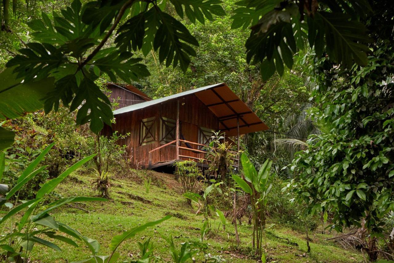 Sukia Hostel Drake Bay Ngoại thất bức ảnh