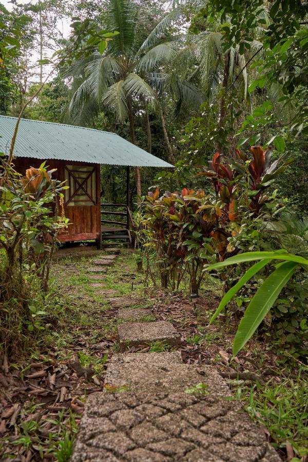 Sukia Hostel Drake Bay Ngoại thất bức ảnh