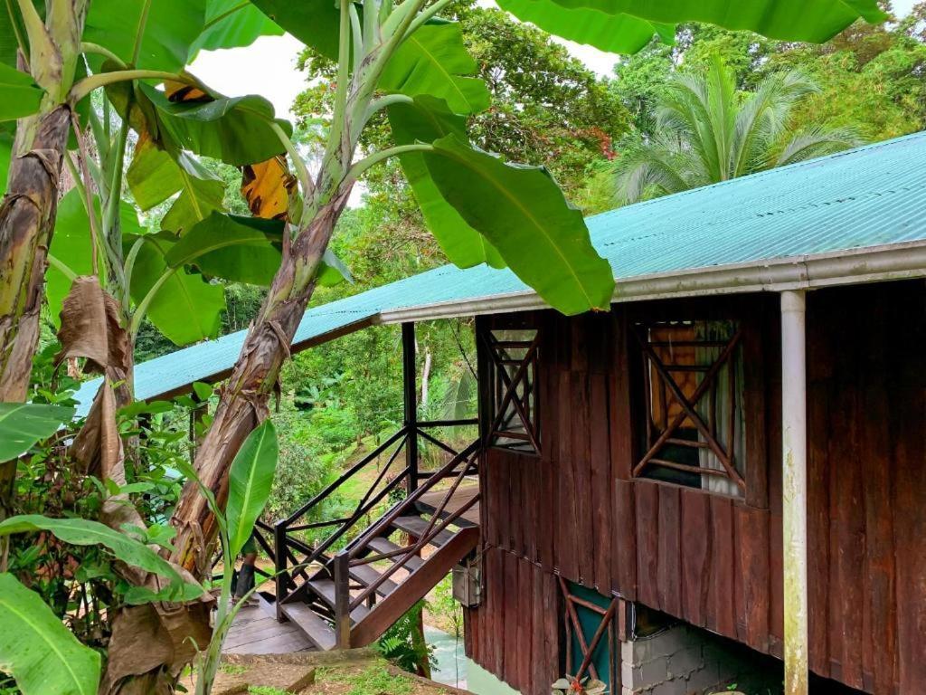 Sukia Hostel Drake Bay Ngoại thất bức ảnh