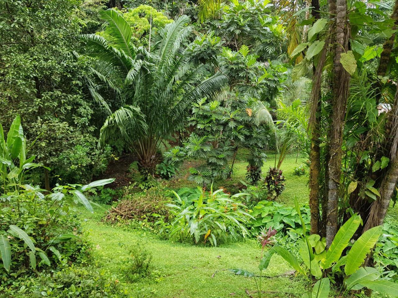 Sukia Hostel Drake Bay Ngoại thất bức ảnh