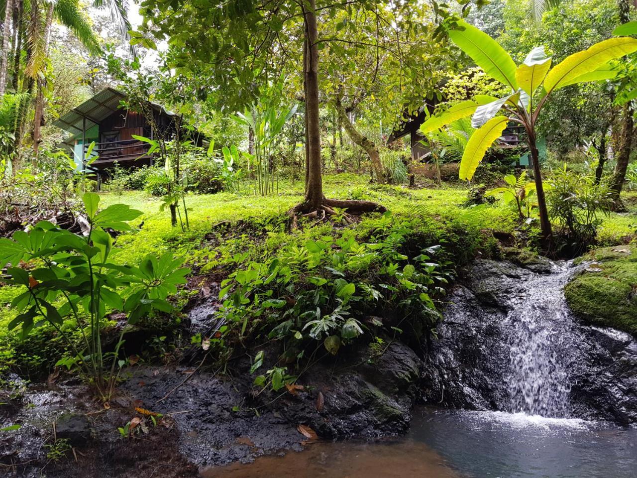 Sukia Hostel Drake Bay Ngoại thất bức ảnh
