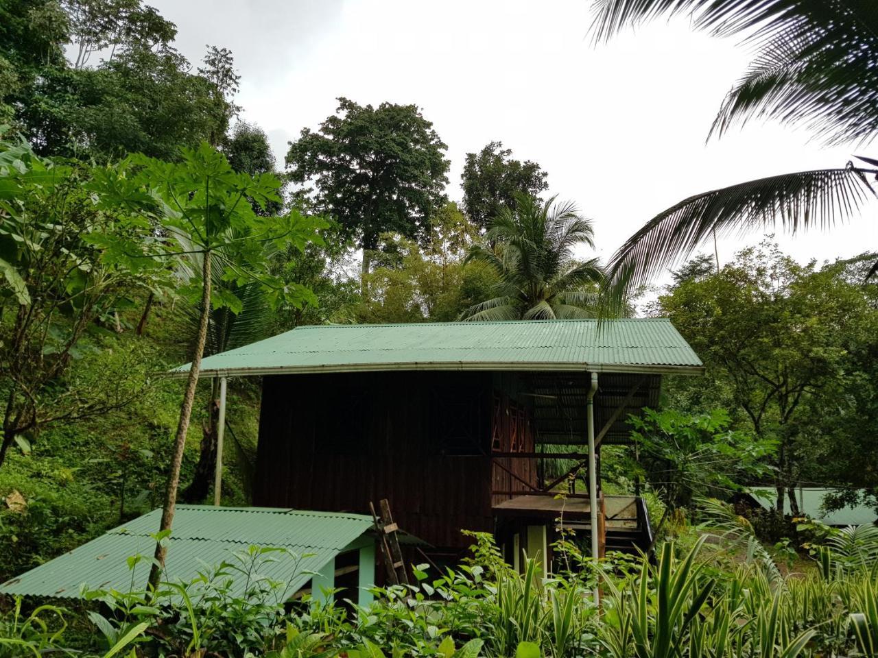 Sukia Hostel Drake Bay Ngoại thất bức ảnh